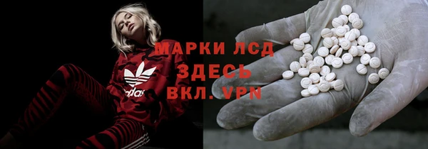 крисы Алзамай