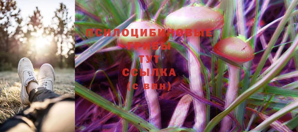 крисы Алзамай