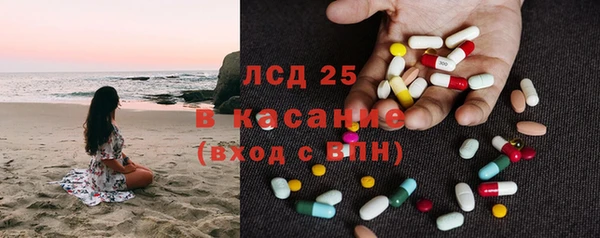 крисы Алзамай