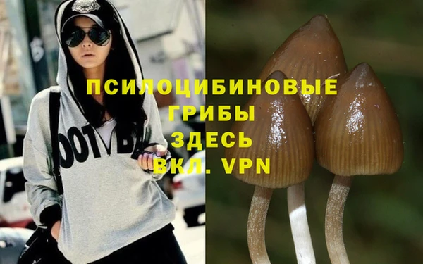 крисы Алзамай
