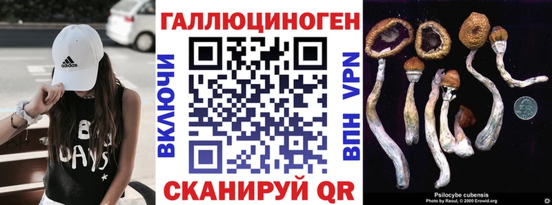 Галлюциногенные грибы Magic Shrooms  Анжеро-Судженск 